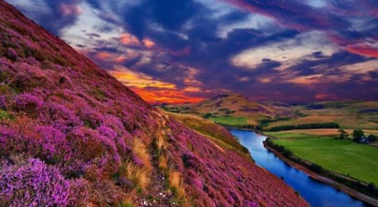 Valley of Flowers, Uttarakhand